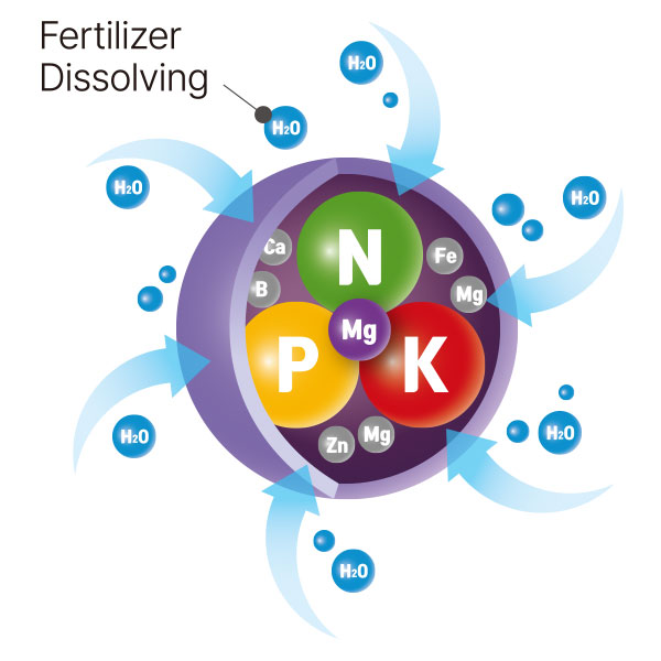 Nutrient dissolution stage