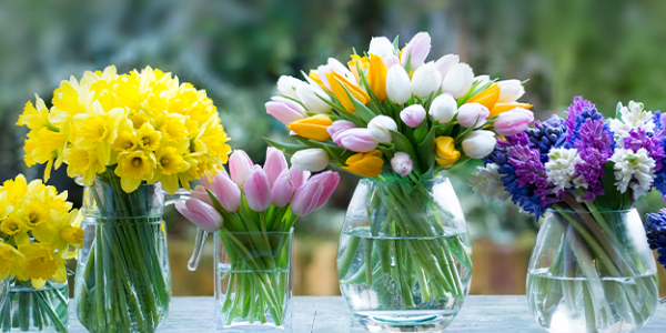 Flowers & Roses
