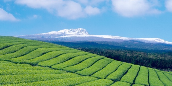 Jeju