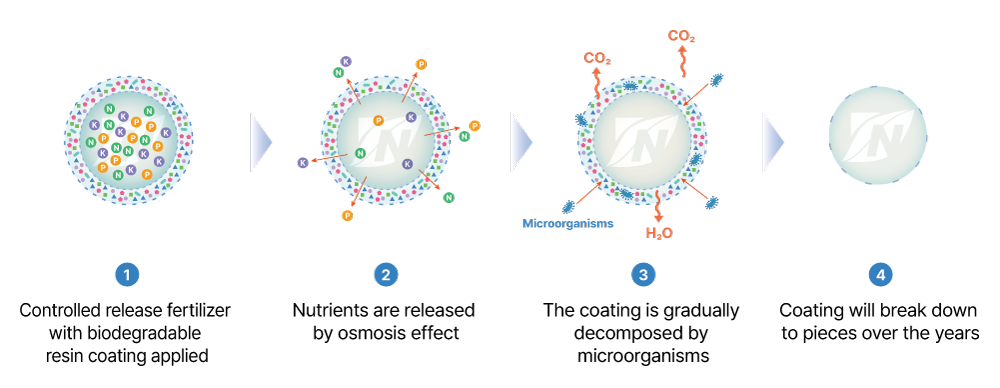 Biodegradation mechanism diagram